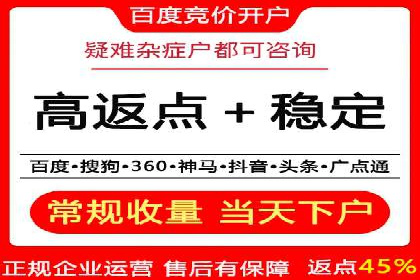 专业SEM服务托管方案案例分析